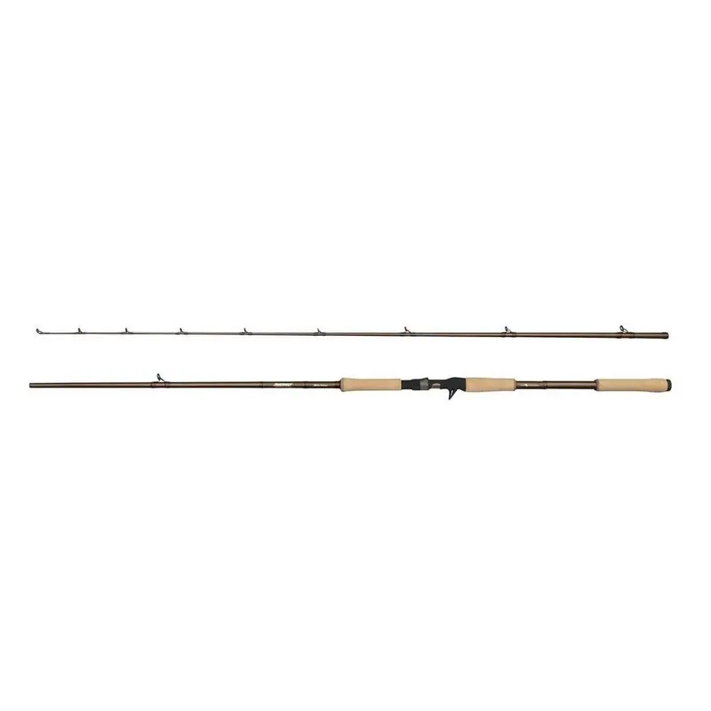 Abu Garcia Beicastrute Beast Pro2 25-70 g Finale Aktion