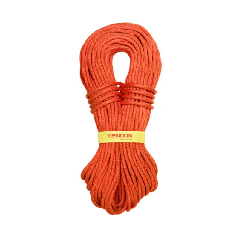 Knallerangebot Tendon Vollständige Schildsehne Master 8.9