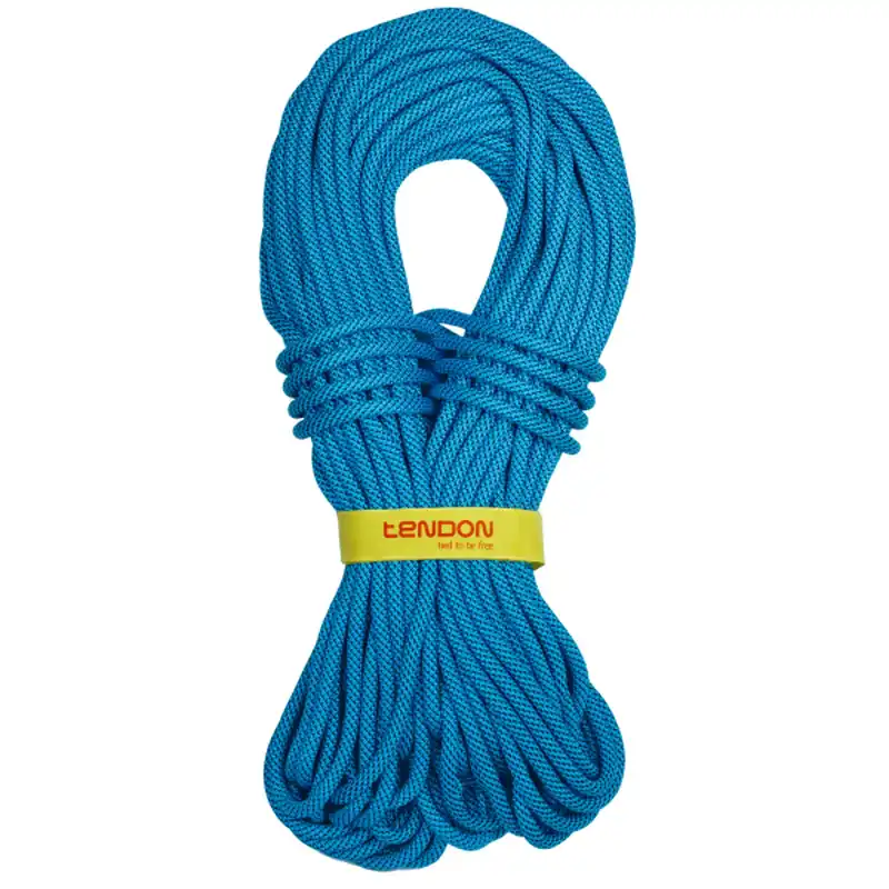 Saisonangebot Tendon Vollständige Schildsehne Master 9 Tefix