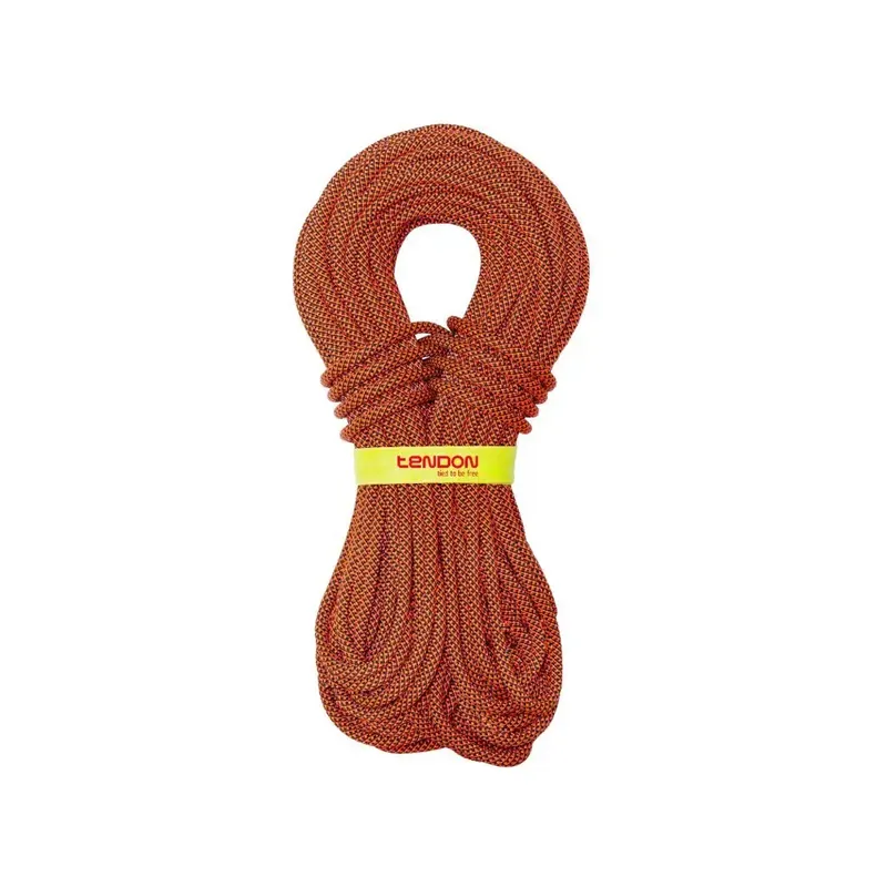 Preiswert Tendon Kletterseil Indoor 9.8