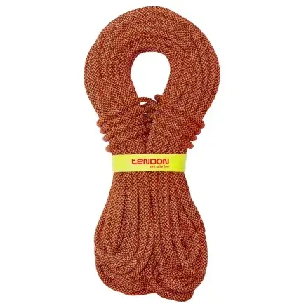 Mega-Angebot Tendon Kletterseil Indoor 9.8
