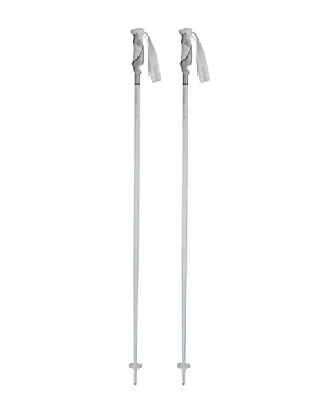 Rebelution Alloy Skistöcke Wochenendangebot